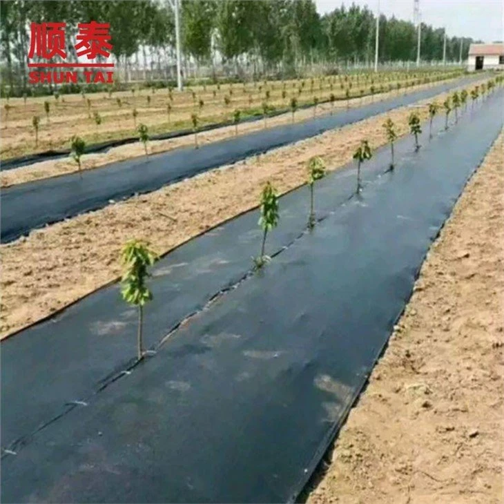 Weed control landscape woven